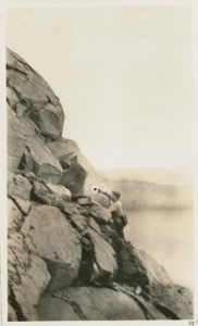 Image of Donald B. MacMillan climbing the Oo-ma-nak